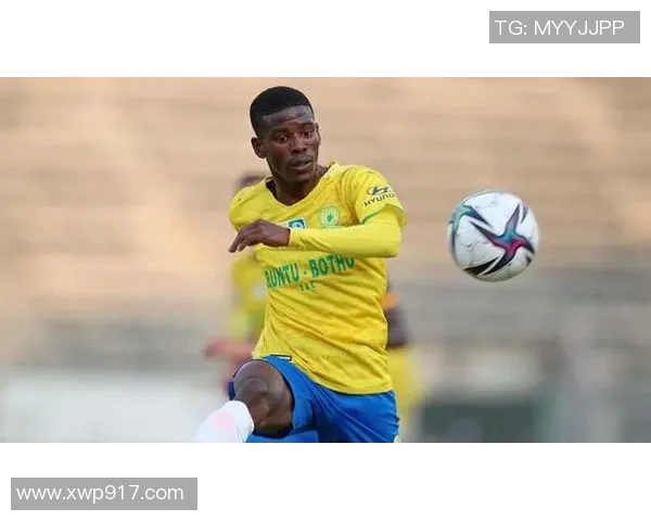 南非足球明星球员排名及其影响力分析完整图谱